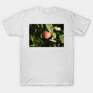 alb red apple T-Shirt
